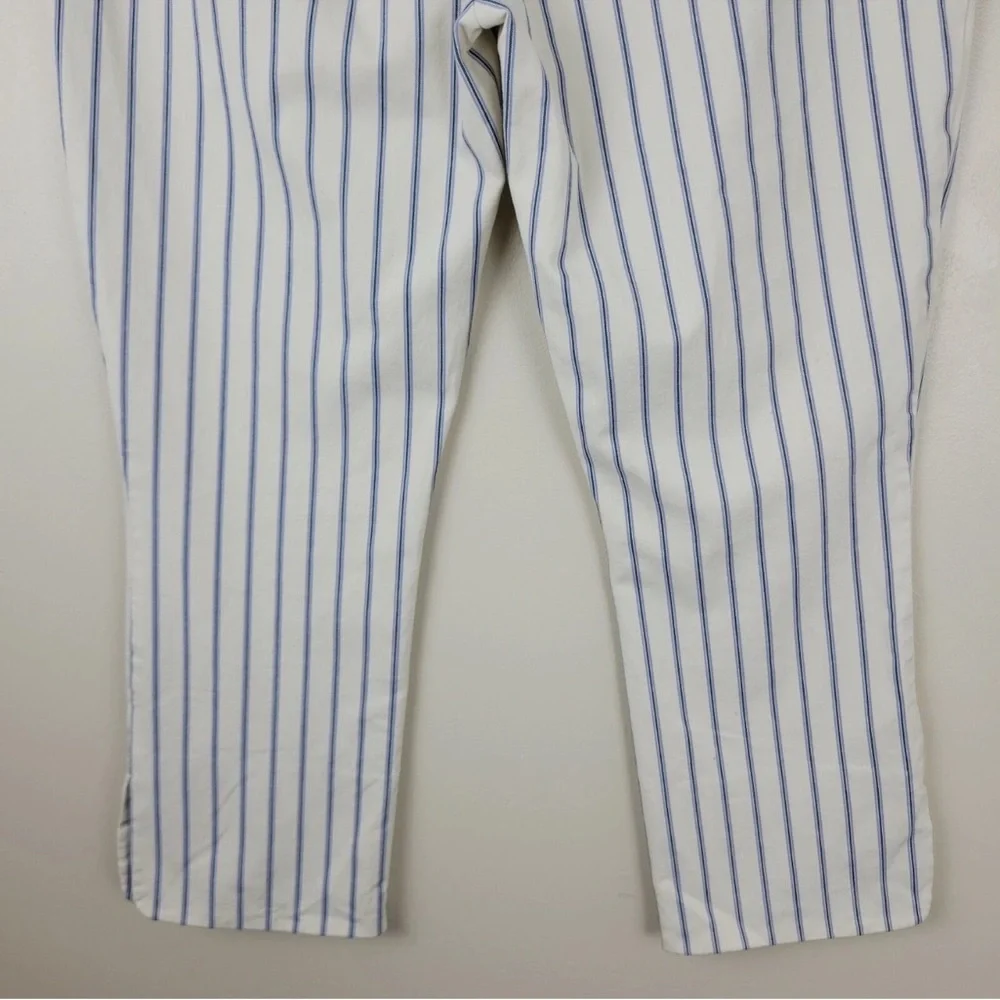 Anthropologie- Striped Pants- Size 8 - Picture 7 of 9